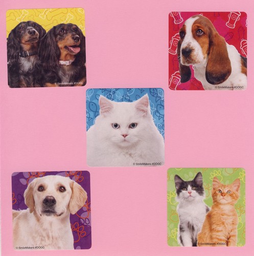 Pet pals adesivi grandi - 10,