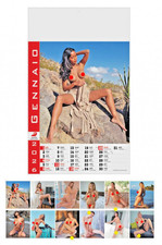 CALENDARIO 2026 -  DA  PARETE