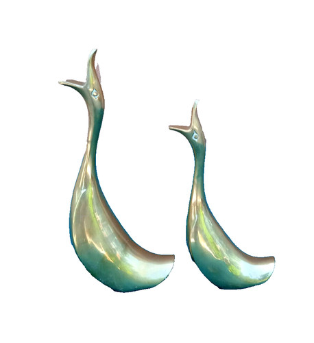Coppia piccole papere - piccole,