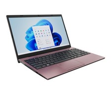 VAIO FE 15,6" computer