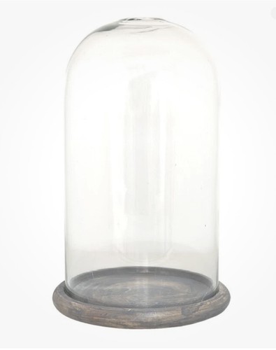 Espositore vetro cloche - espositore,