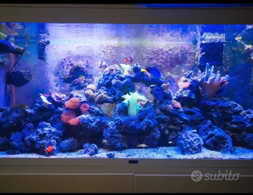 Acquario marino 300 - acquario, litri