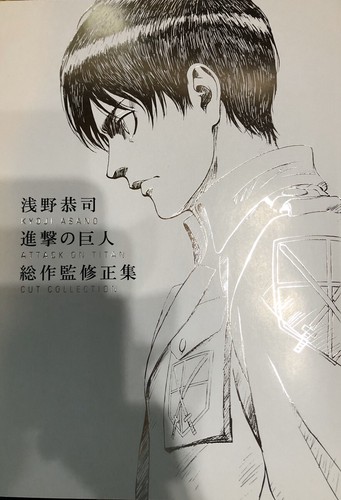 Art book wit kyoji - book,