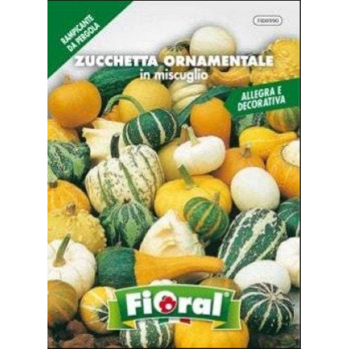 Mix zucchette ornamentali - mix, di