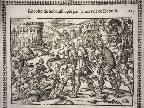 Revolte seba peste israel - peste,