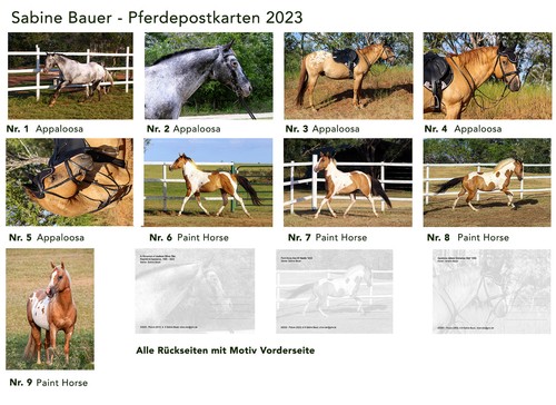 Set cartoline cavallo - 9,
