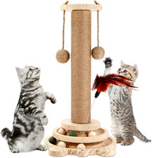 Giocattolo Interattivo per