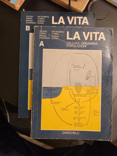 La vita cellule - la,