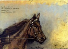 Cesena TEMATICA CAVALLI HORSES