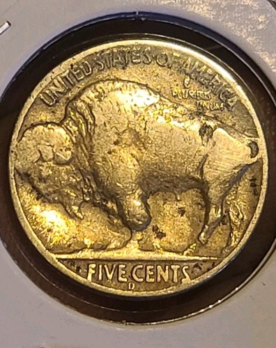 1937 zampe di bufalo - 3,