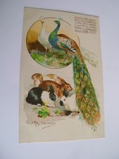 Pubblicità - Milano 1901 Dis. Achille Beltrame - non spedita f. p.