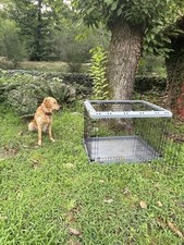 Gabbia per Cani Pieghevole, Kennel Cane Grande, Con 2 Porte, Vassoio Rimovibile,