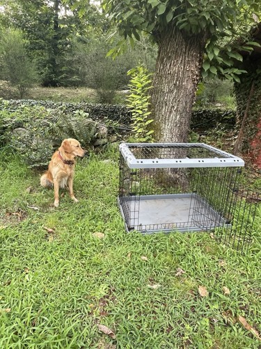 Gabbia per cani pieghevole - gabbia,