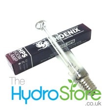 Lampadina lampada Phoenix 600W