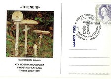 MACROLEPIOTA PROCERA THIENE 1999 FUNGO MUSHROOM PILZ CHAMPIGNON ANNULLO 