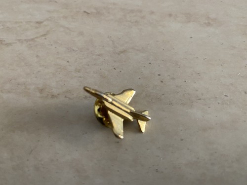 Rarissima spilla pins