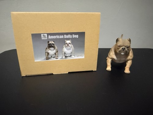 American bully dog scala - american,