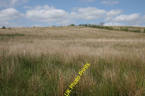 Photo rough grassland - a2,
