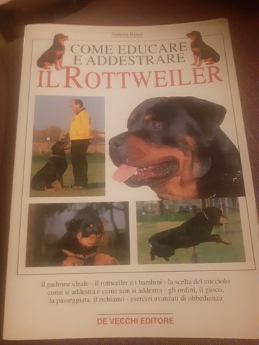 Come educare addestrare il - come,