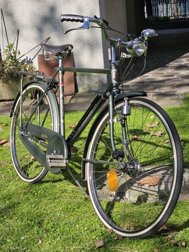 Bicicletta città vintage - da,