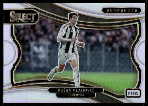 2024 panini seleziona - panini,