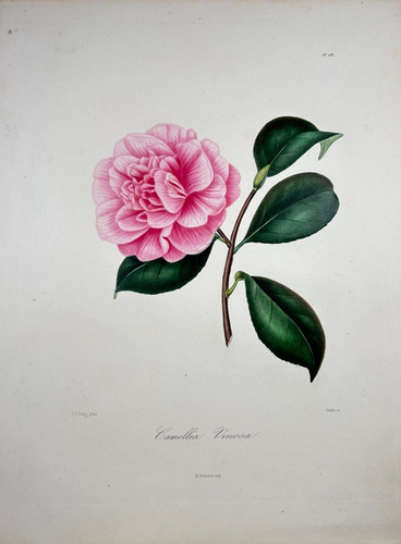 Abbe berlèse j - abbe, /