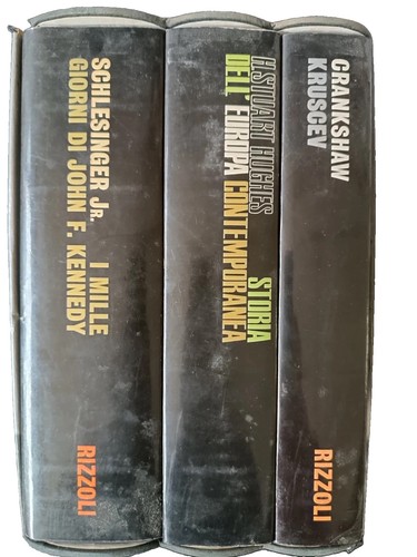 Libro cofanetto mille giorni - cofanetto,
