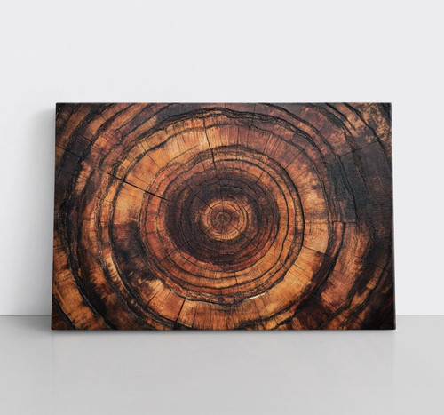 Anelli albero marrone - albero, legno