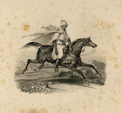 Stampa antica uomo - stampa, antica-un