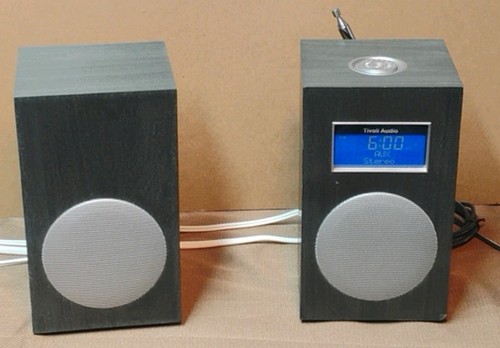 Coppia altoparlanti aux radio
