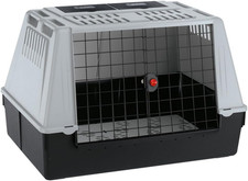 Trasportino per Cani Da Auto