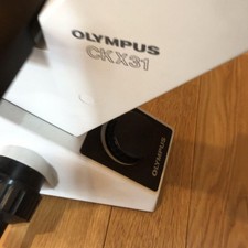 Microscopio Olympus Ckx31 con
