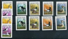 143233) Uccellini Ungheria n