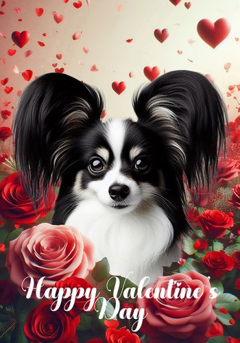 Bandiera papillon buon san - papillon,