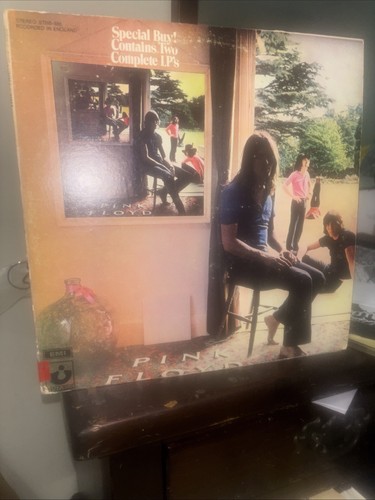 Pink floyd ummagumma - pink,