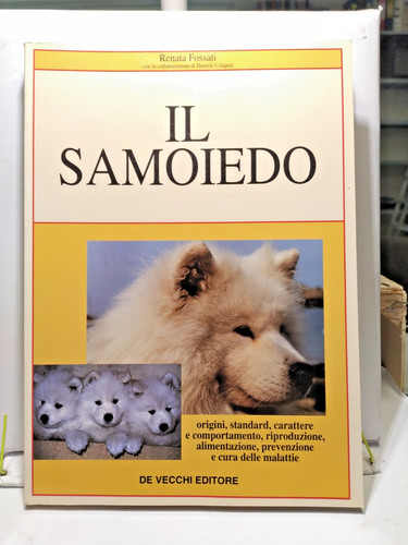 Samoiedo origini standard - samoiedo,
