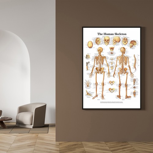 Poster scheletrico corpo