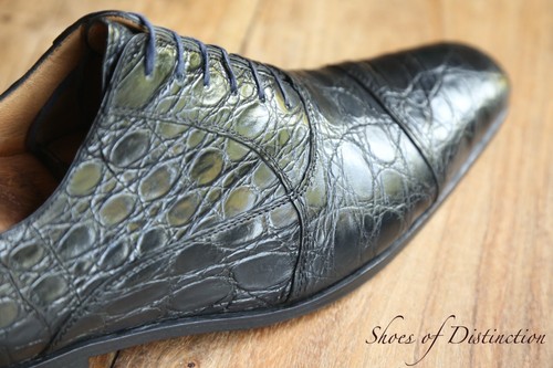 Scarpe oxford stemar vera - scarpe,