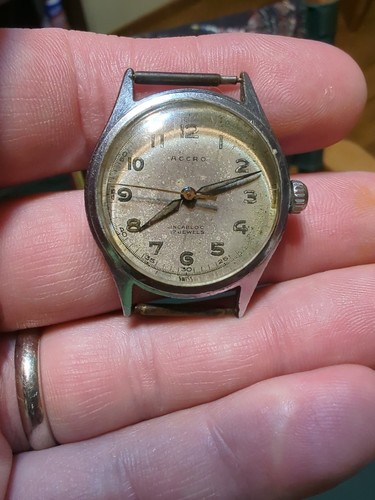 Testa orologio vintage - vintage, swiss