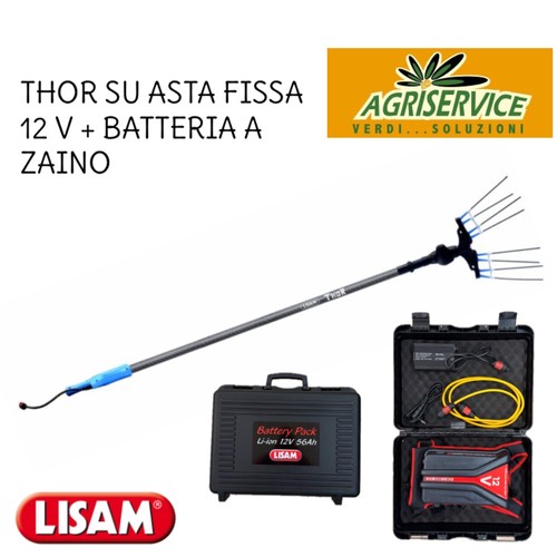 Pettine elettrico thor 12v - elettrico,