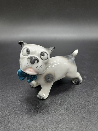Mini bulldog occhi incrociati - mini,