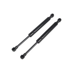 2x Gas Ammortizzatore Cofano