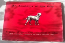 Anatomy the dog - an, smith