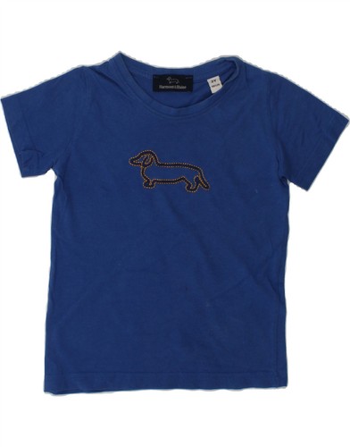Shirt grafica harmont - grafica, &