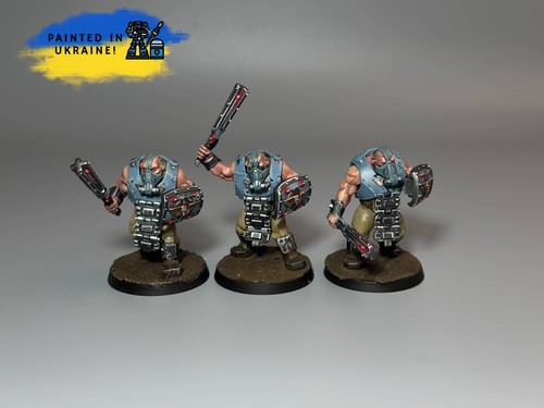 Guerra bullgryns - guerra,
