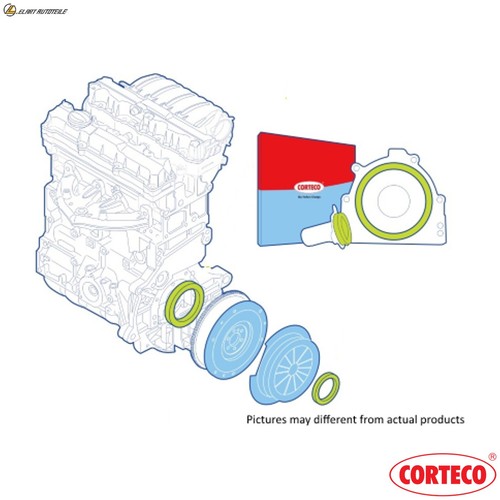 Kit guarnizioni albero - guarnizioni,