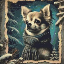 🌟 Chihuahua Cucciolo Cane