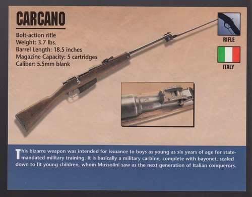 Carcano bolt action - carcano, bolt-action