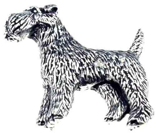Fox terrier english - terrier, pin