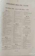 libro antico Atlante di